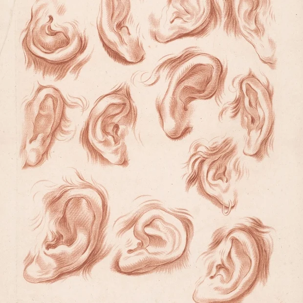 The Case of the Missing Ears (Maharashtra)
