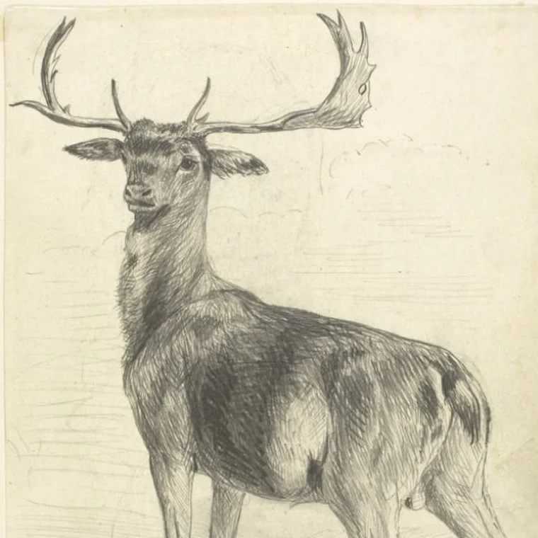 Sita’s Golden Blouse (Maharashtra)