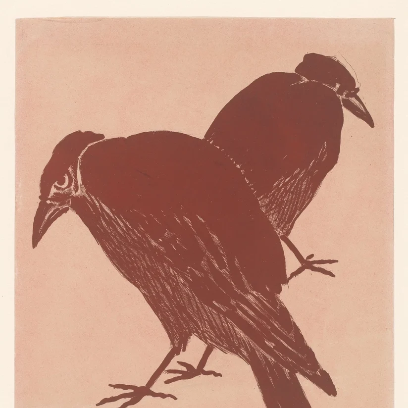 The Golden Crow and the Silver Crow (Lakshadweep)