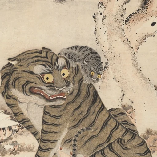 Deflecting A Tiger’s Fury (Sikkim)